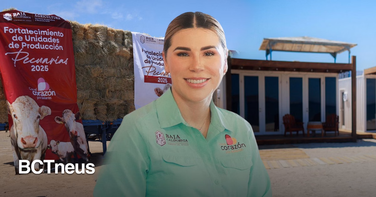 Articulo - Promueve Marina del Pilar el desarrollo del sur profundo de BC