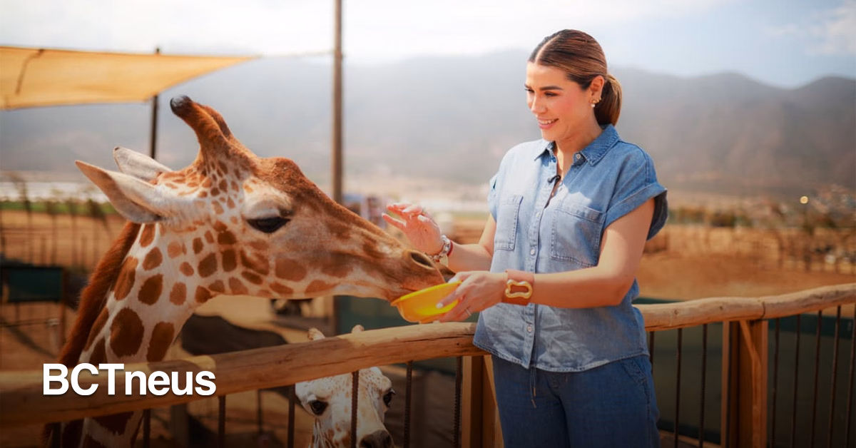 Articulo - Corazones Viajeros llevó a más de cinco mil personas al turismo en 2025: Marina del Pilar