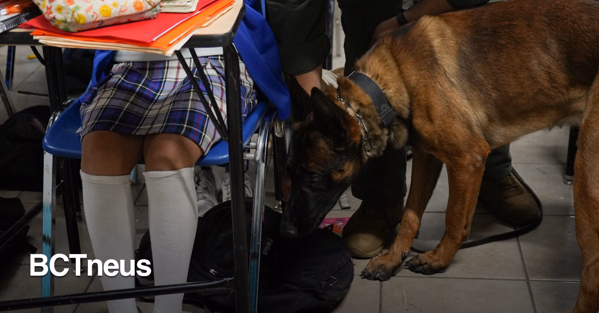 Articulo - Con apoyo de agentes caninos, SSPCM realiza inspección en secundaria de Tijuana