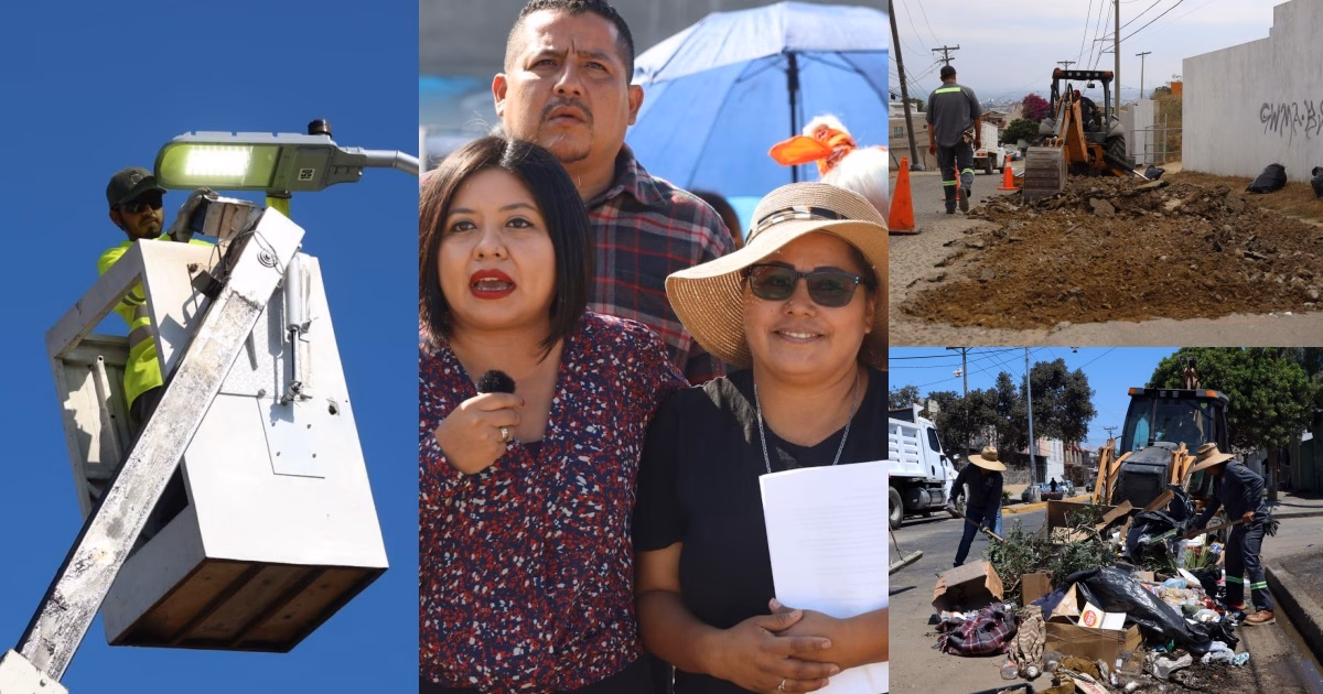 Articulo - Gobierno de Tijuana transforma colonias con alumbrado, bacheo y reforestación