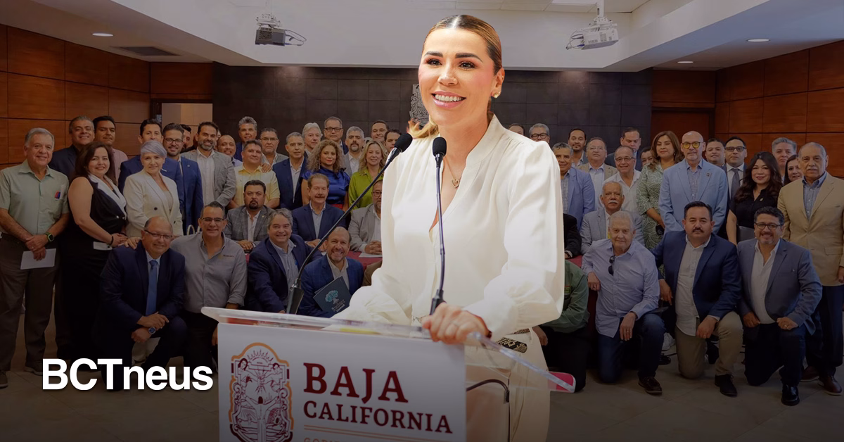 Articulo - Industria manufacturera crece 49.7% en Baja California: Marina del Pilar