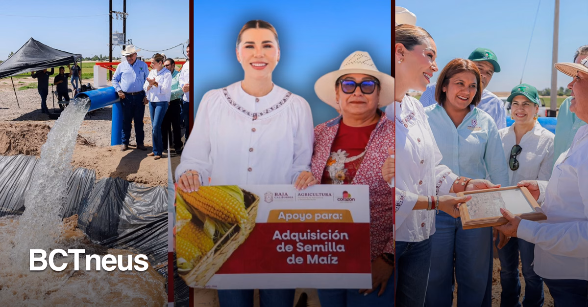 Articulo - Marina del Pilar nivela cuatro mil hectáreas de riego para distribución justa del agua en Valle de Mexicali