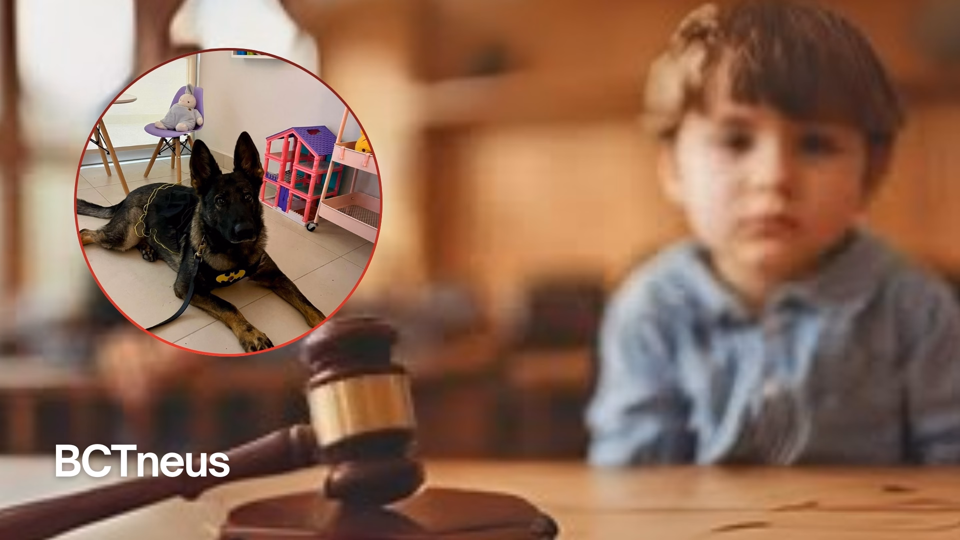 Articulo - Juzgados especializados en violencia familiar mejoran atención
