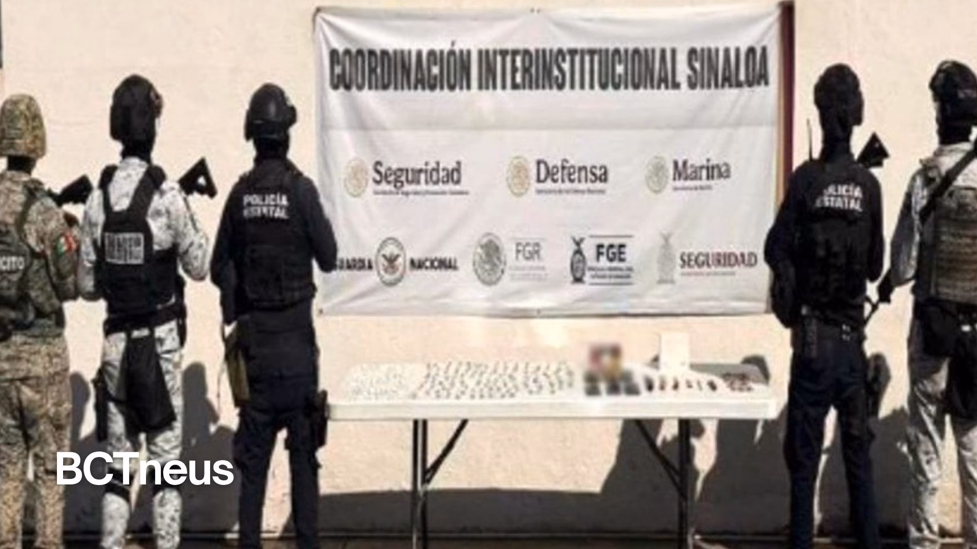 Articulo - Fuerzas federales decomisan 27 armas y miles de cartuchos en operativos en cinco estados