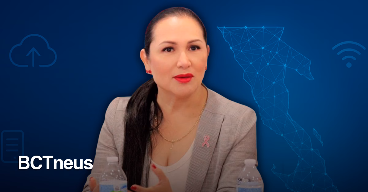 Articulo - Modernizar la participación ciudadana, ahora también desde lo digital: Araceli Geraldo