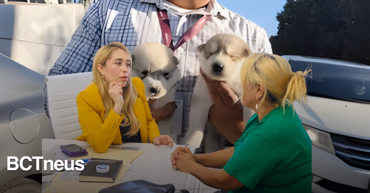 Articulo - Colectivo “Patitas Firmes” busca coordinación con autoridades de Tijuana