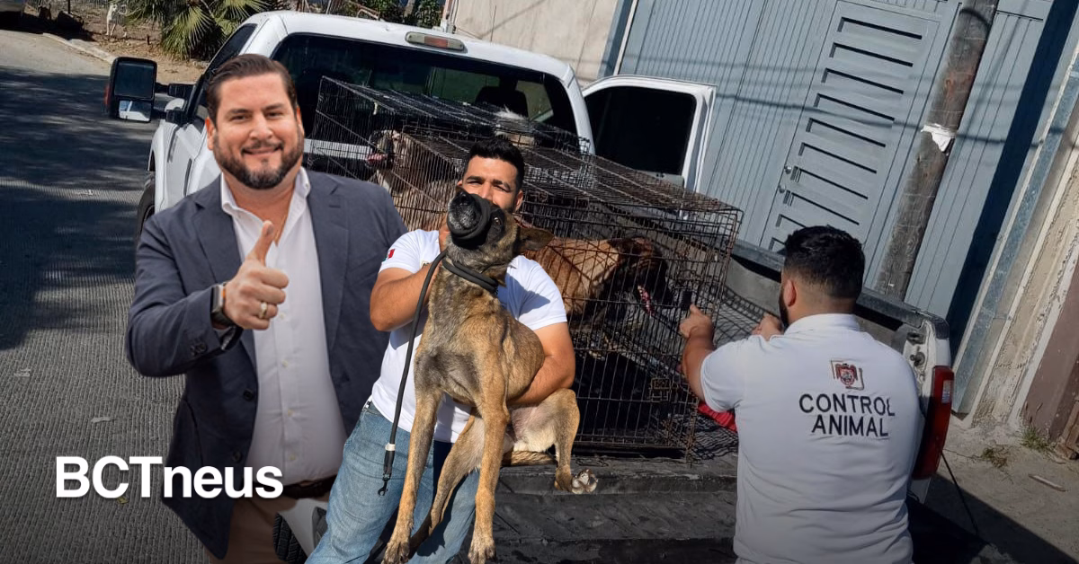 Articulo - Interviene autoridad municipal ante denuncia de maltrato animal en Nuevo Milenio