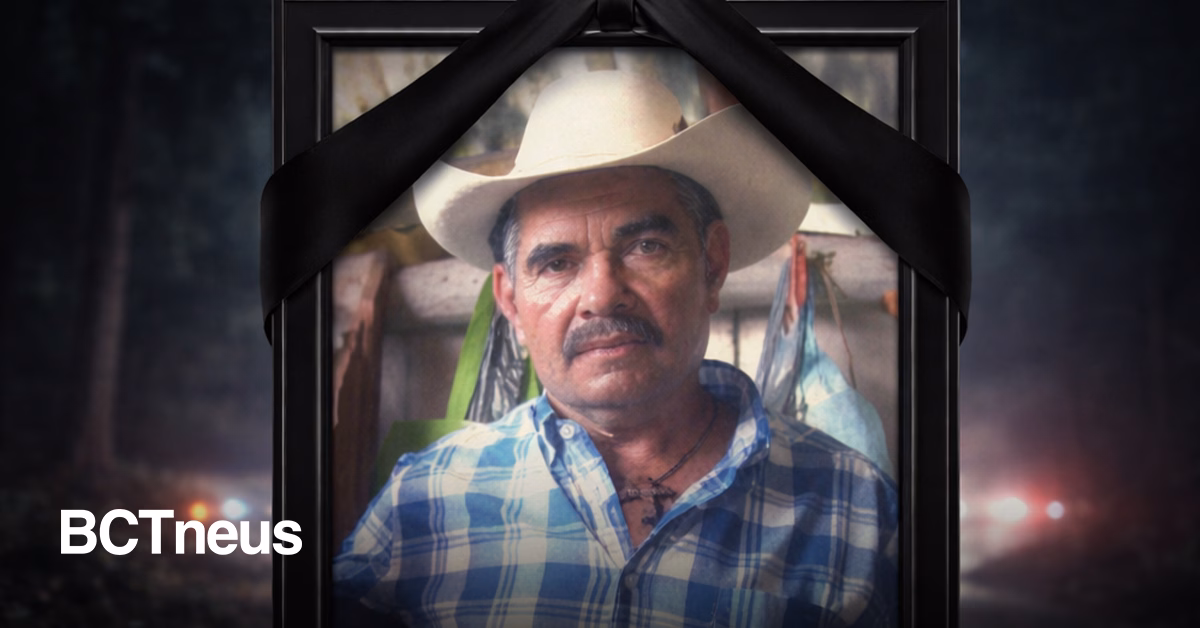 Articulo - Ejecutan a defensor ambiental que denunciaba tala ilegal en Michoacán