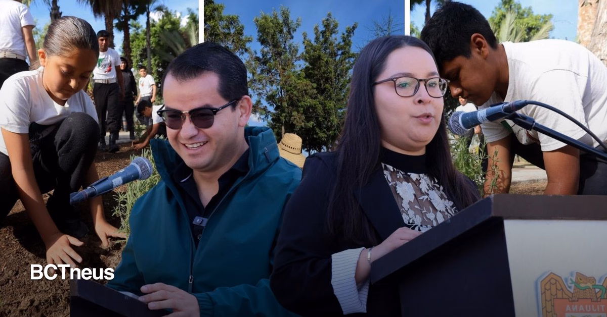 Articulo - Plantan 150 árboles en Tijuana durante Día de la Tierra