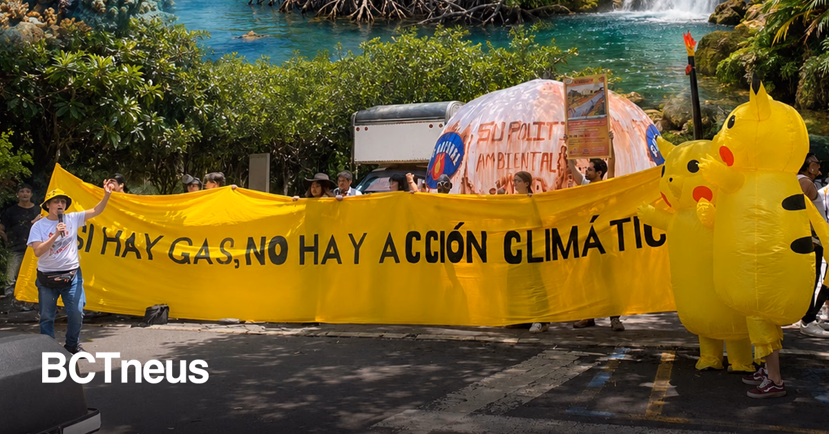Articulo - "No solo es Mahahual": activistas exigen a Semarnat revisar 12 proyectos que amenazan en el país
