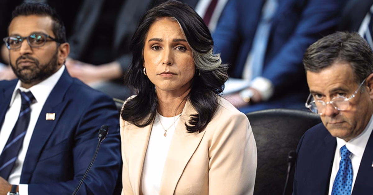 Articulo - Dimite Tulsi Gabbard, directora de Inteligencia Nacional de Estados Unidos; asumirá Aaron Lukas