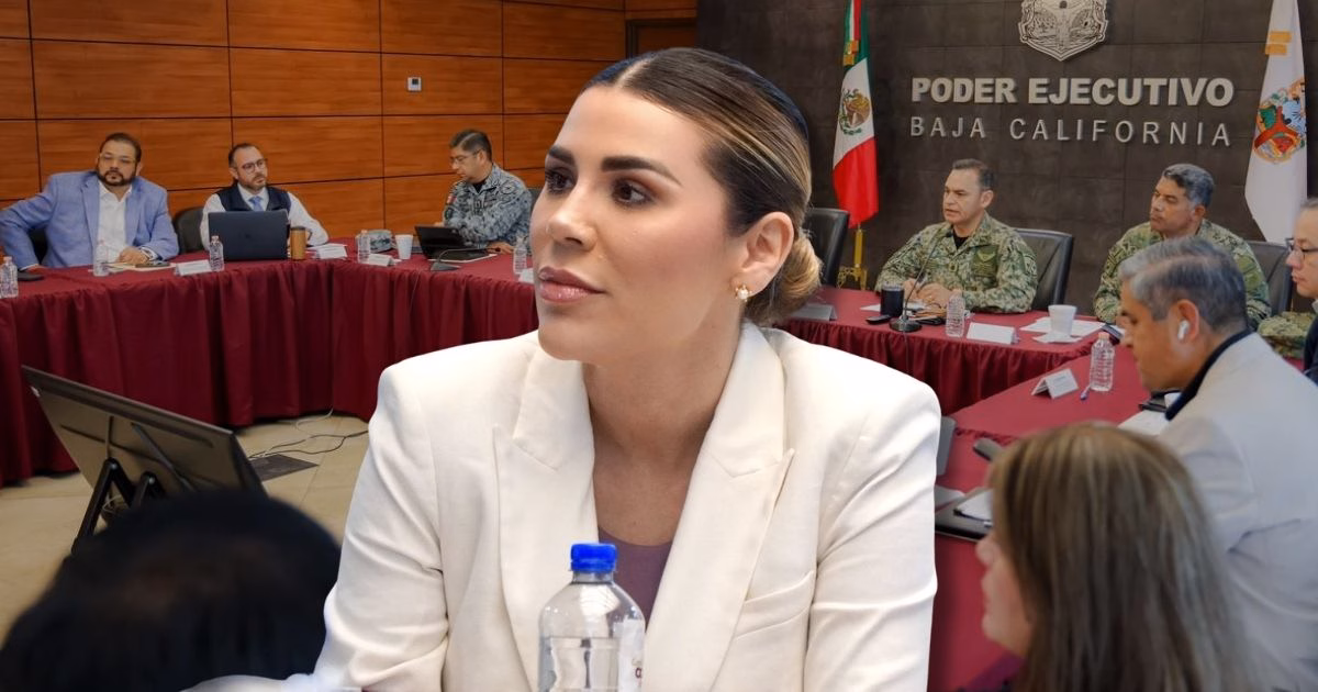 Articulo - Más de 34 toneladas de droga aseguradas y homicidios a la baja en BC: Marina del Pilar