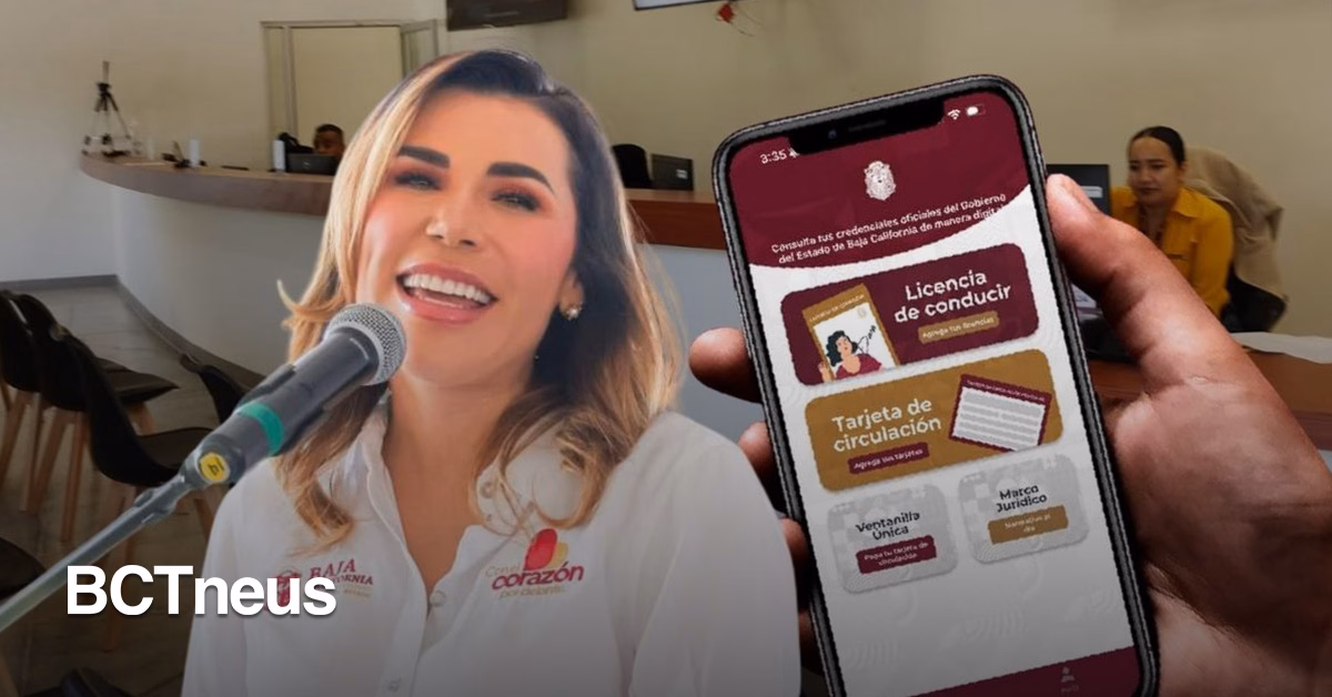 Articulo - Licencias, actas, tarjetas de circulación y más trámites en línea en BC: Marina del Pilar