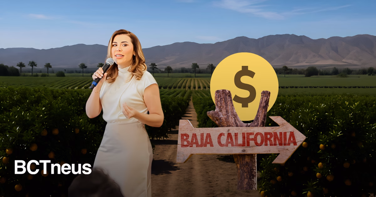 Articulo - Baja California consolida potencia agroalimentaria con producción superior a 23 mil mdp