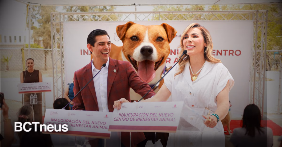 Articulo - Abre en Tecate nuevo Centro de Bienestar Animal para perros y gatos