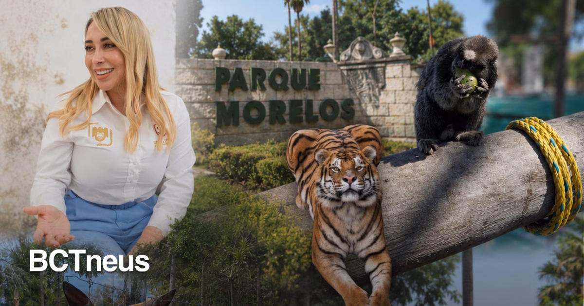 Articulo - Por una vida más digna, reubicarán animales del Parque Morelos